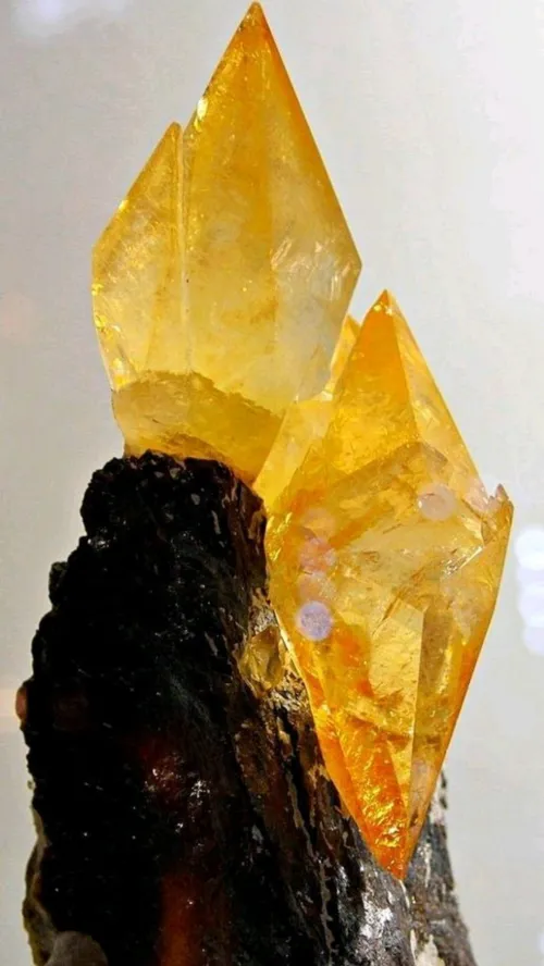 Can Capricorn Wear Citrine
