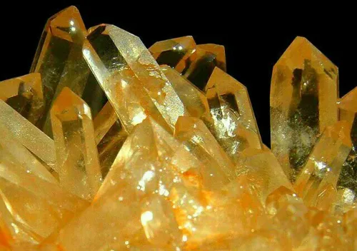 Can Cancer Wear Citrine
