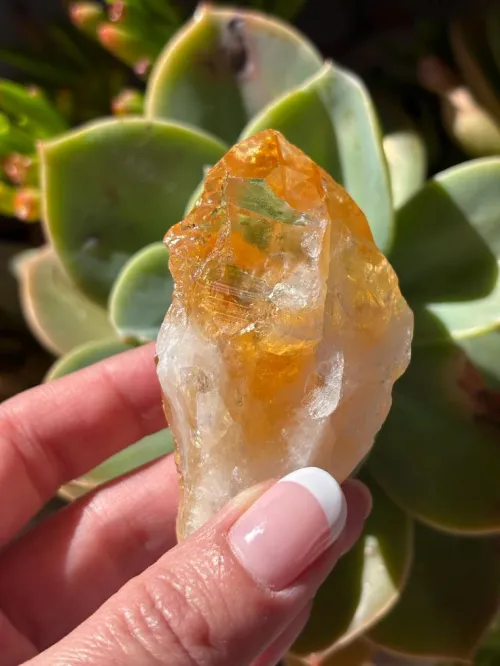Can Citrine Go In Water