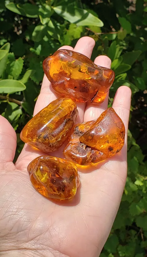 Citrine ring under daylight showing warm hues