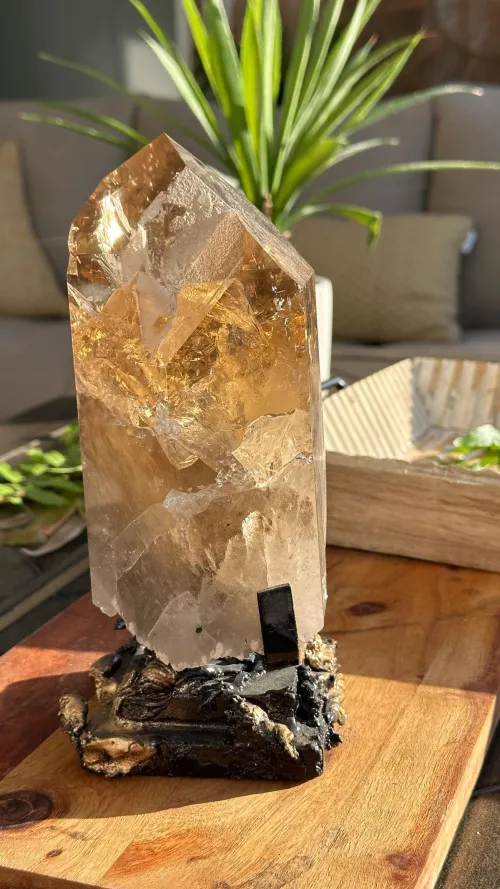 Natural citrine crystal comparing color variations under sunlight and indoor lighting